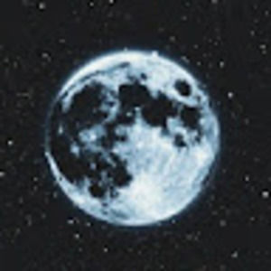 Meet your Posher, Kylie